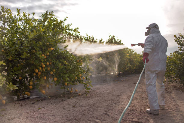 Best Mosquito Control Services  in Bayfield, CO